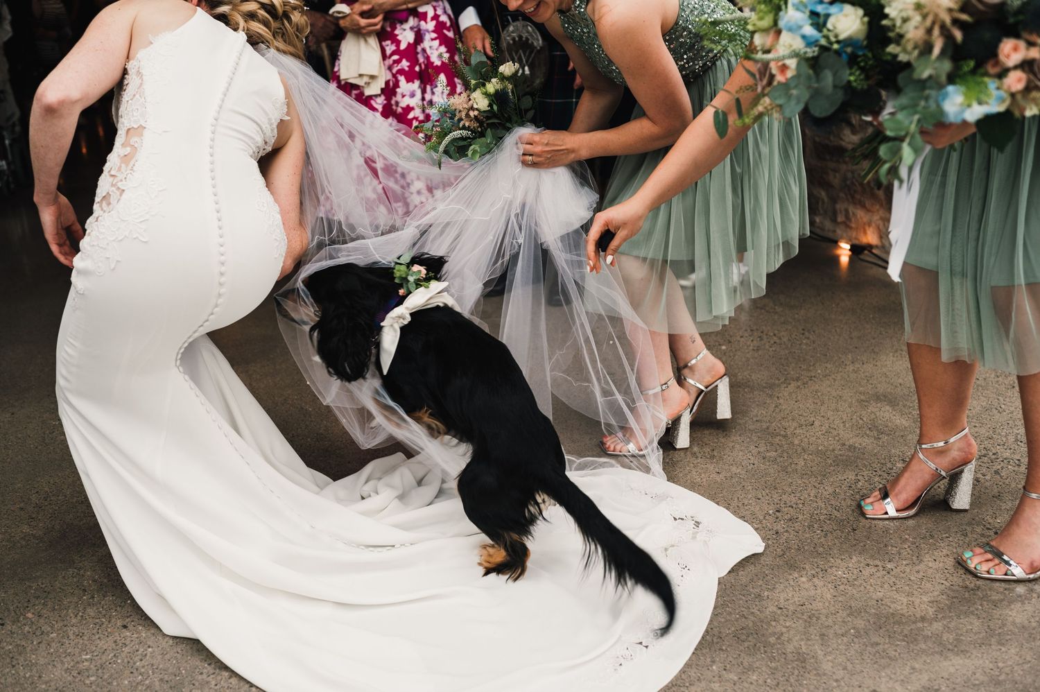 Playful black cat interacting with bride's wedding dress train while bridesmaids in mint dresses look on.