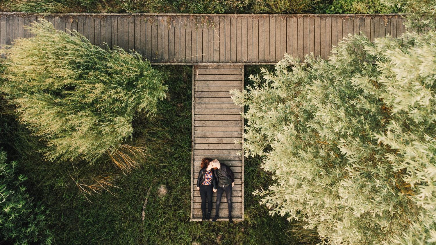 A panoramic view shows a wooden fence and lush green foliage in a backyard garden setting.