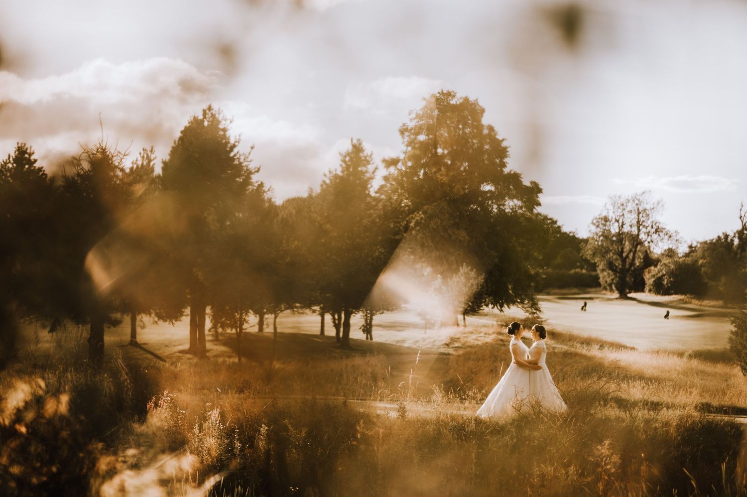 Aberdeen Wedding Photography. Silhouetted trees line a misty landscape at sunset creating a dreamy wedding day atmosphere.