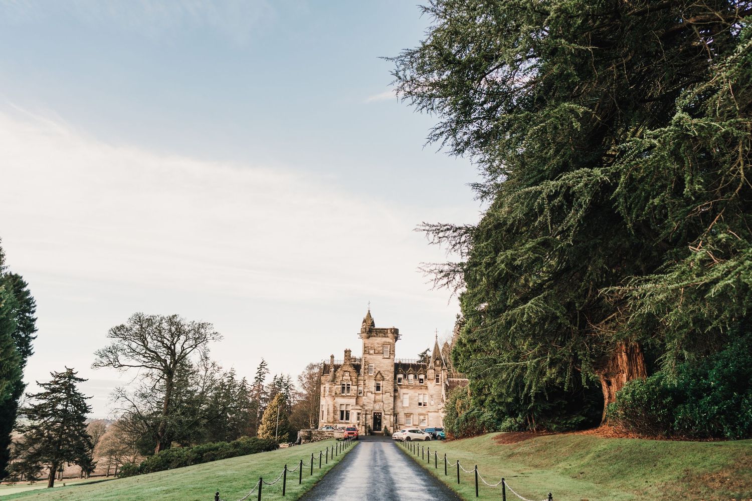 Grand castle at the end of a tree-lined driveway on a scenic estate.