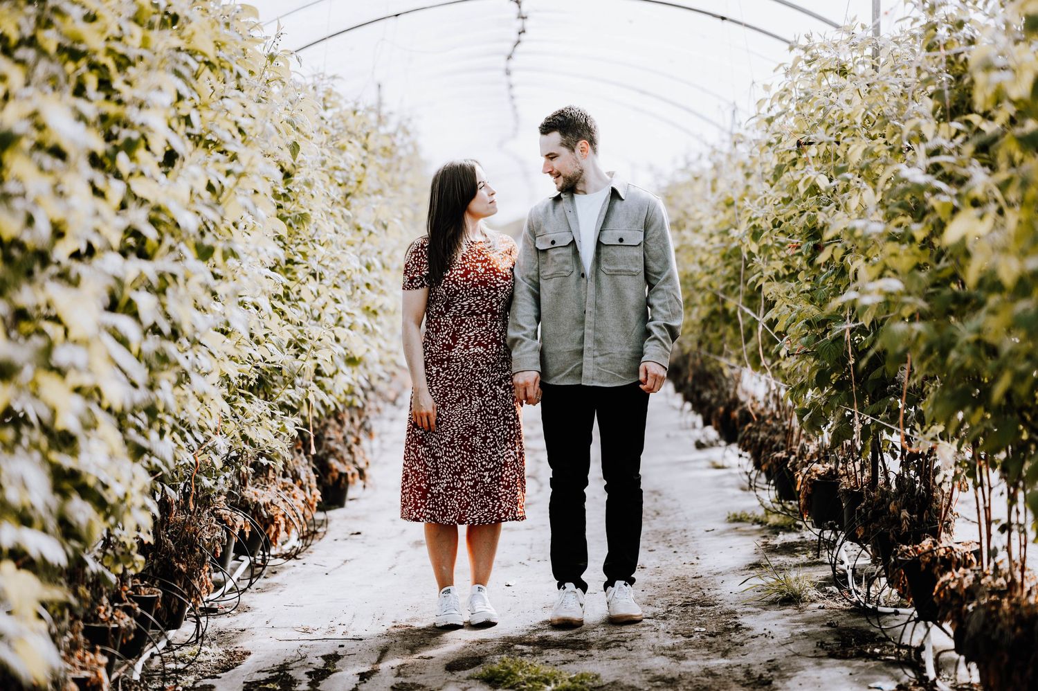 Engagement photography session Aberdeen. A couple walks through rows of plants in a greenhouse tunnel.