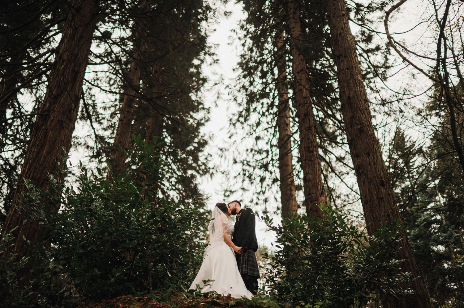 Romantic wedding portrait captured beneath towering evergreen trees in a forest setting.