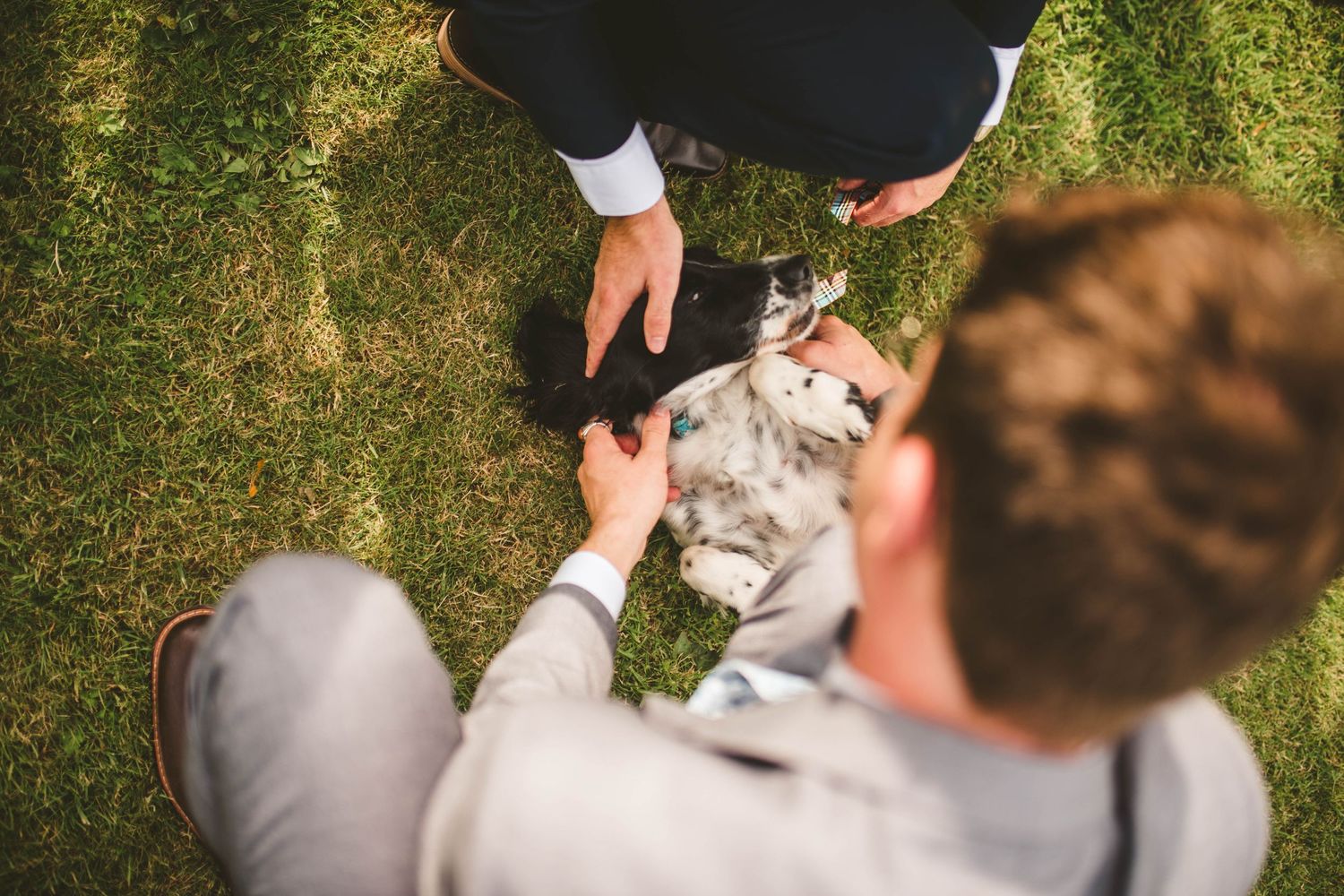 Hands exchanging wedding rings on grass during an outdoor ceremony.