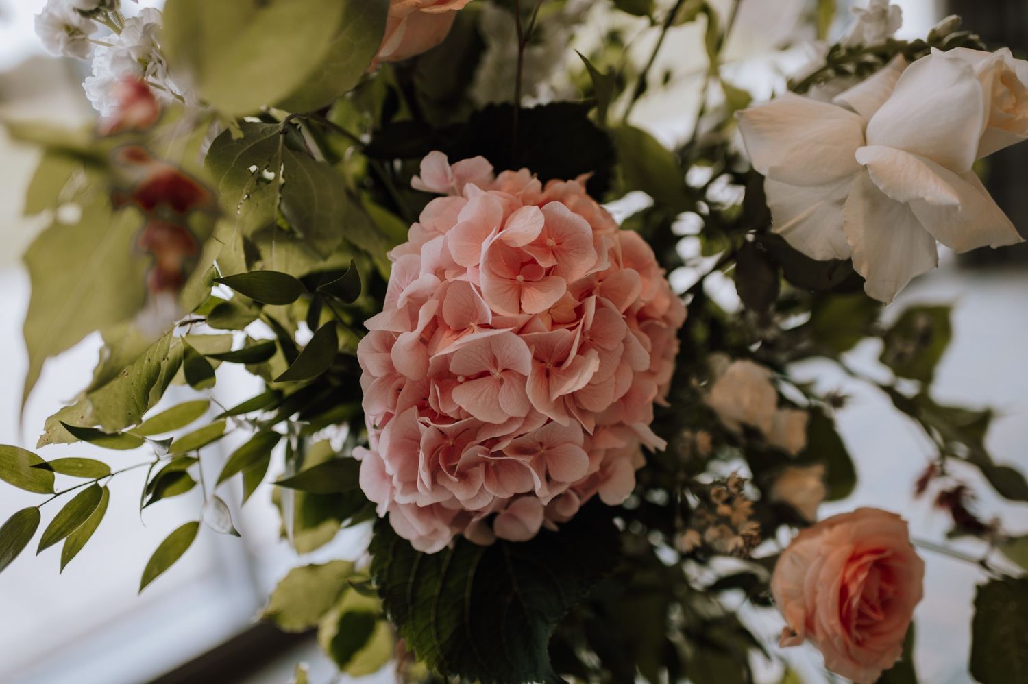 Close-up of a lush pink peony surrounded by delicate green foliage and white flowers.