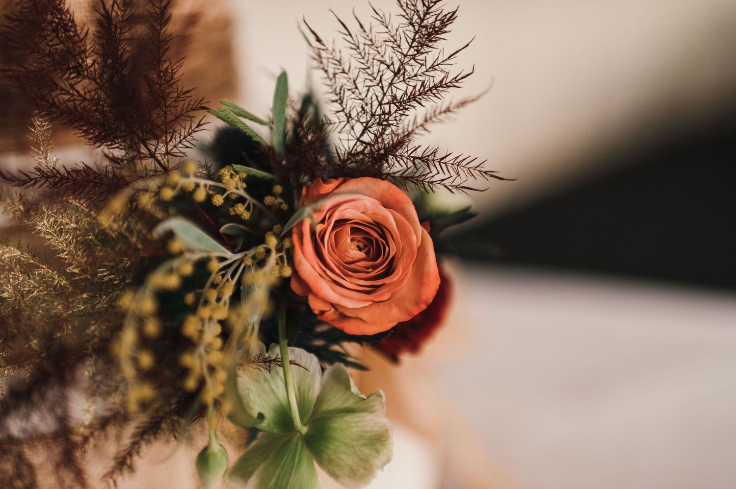 A detailed macro shot of a coral rose with delicate foliage and dried flowers in soft focus.