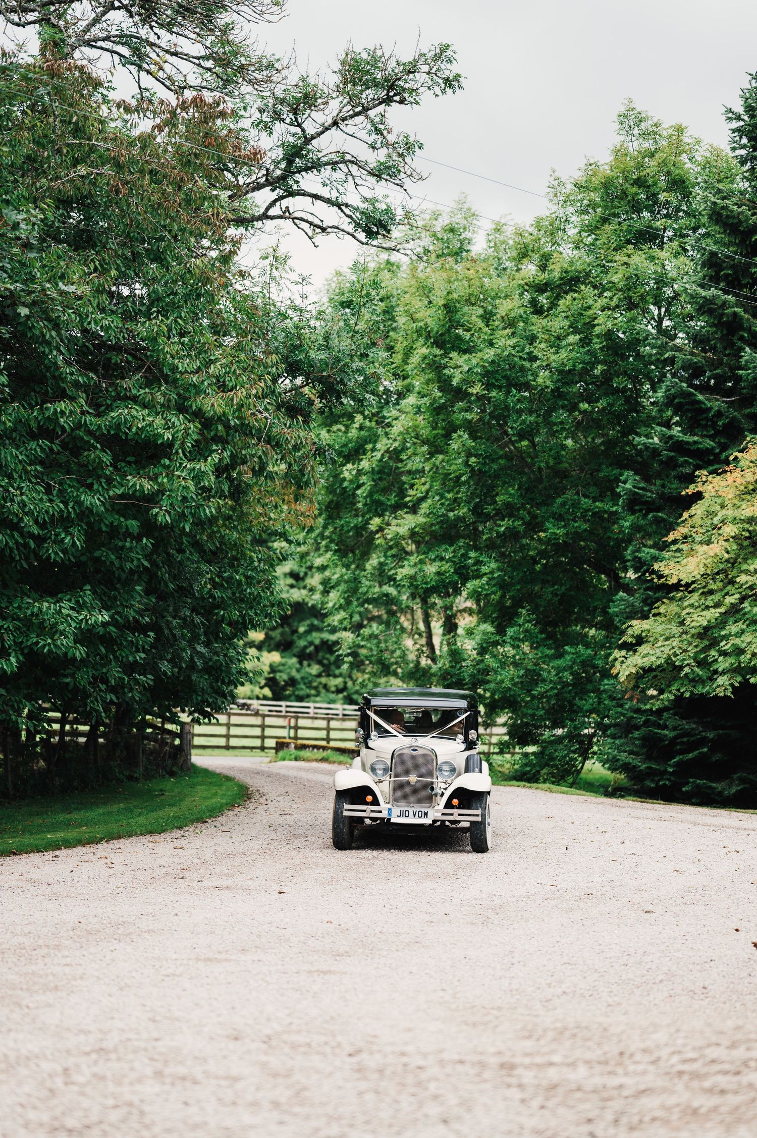 A scenic gravel driveway leads through lush green trees and wooden fencing at a rustic outdoor venue.