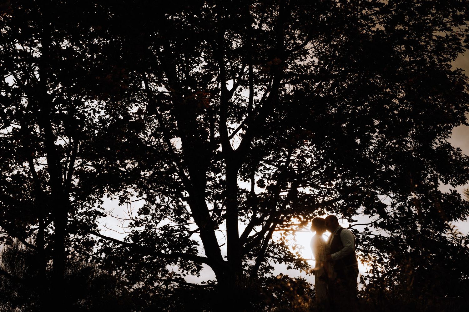 A silhouette of a couple against a sunset sky with large trees in the foreground.