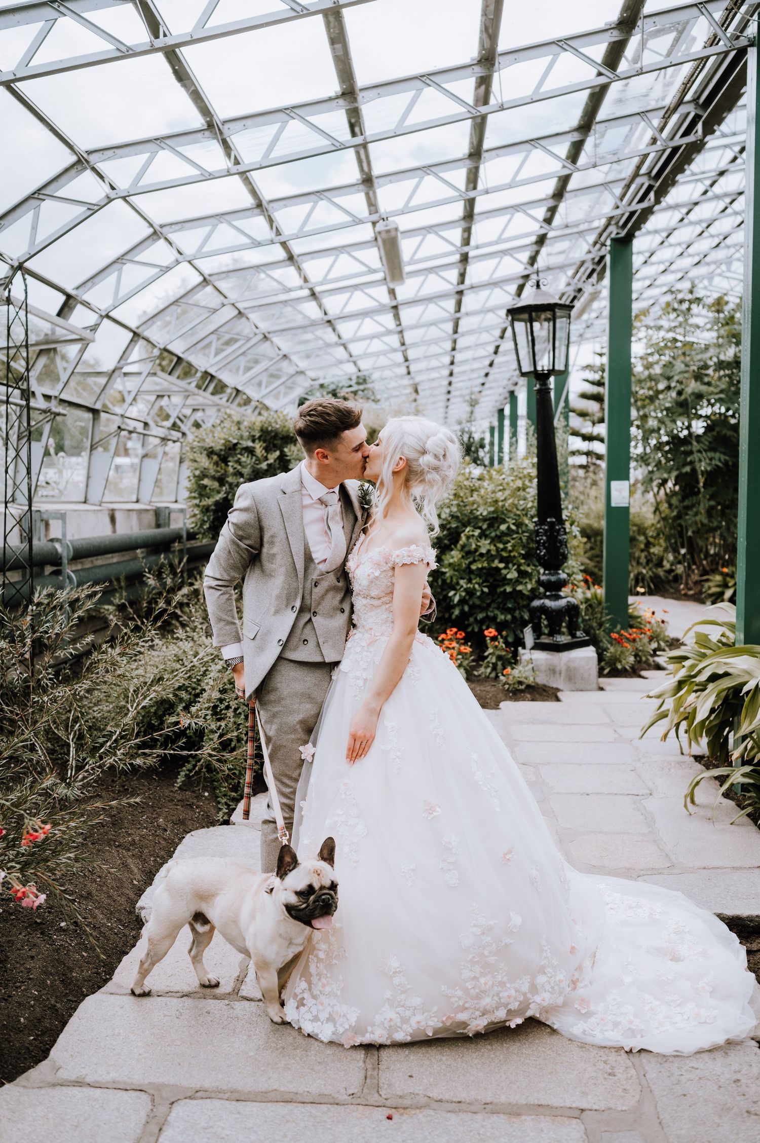 A wedding couple in formal attire posing with their French Bulldog in a glass conservatory setting.