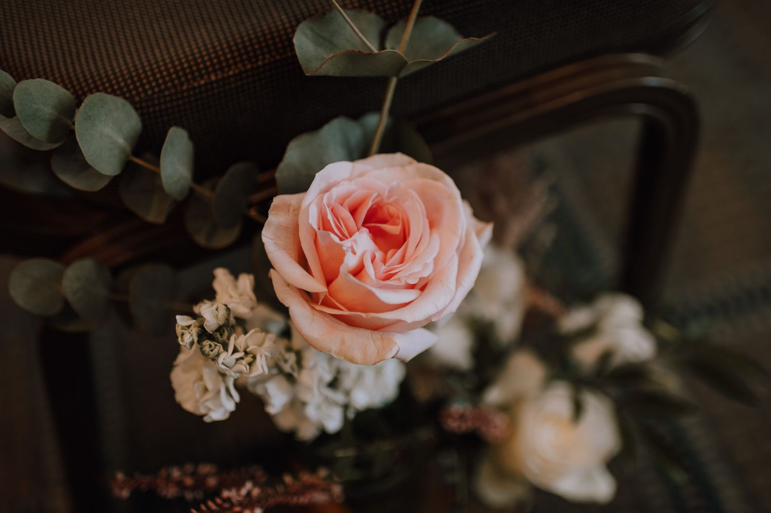 A soft peach-colored rose with blurred eucalyptus leaves in the background creates a dreamy romantic atmosphere.