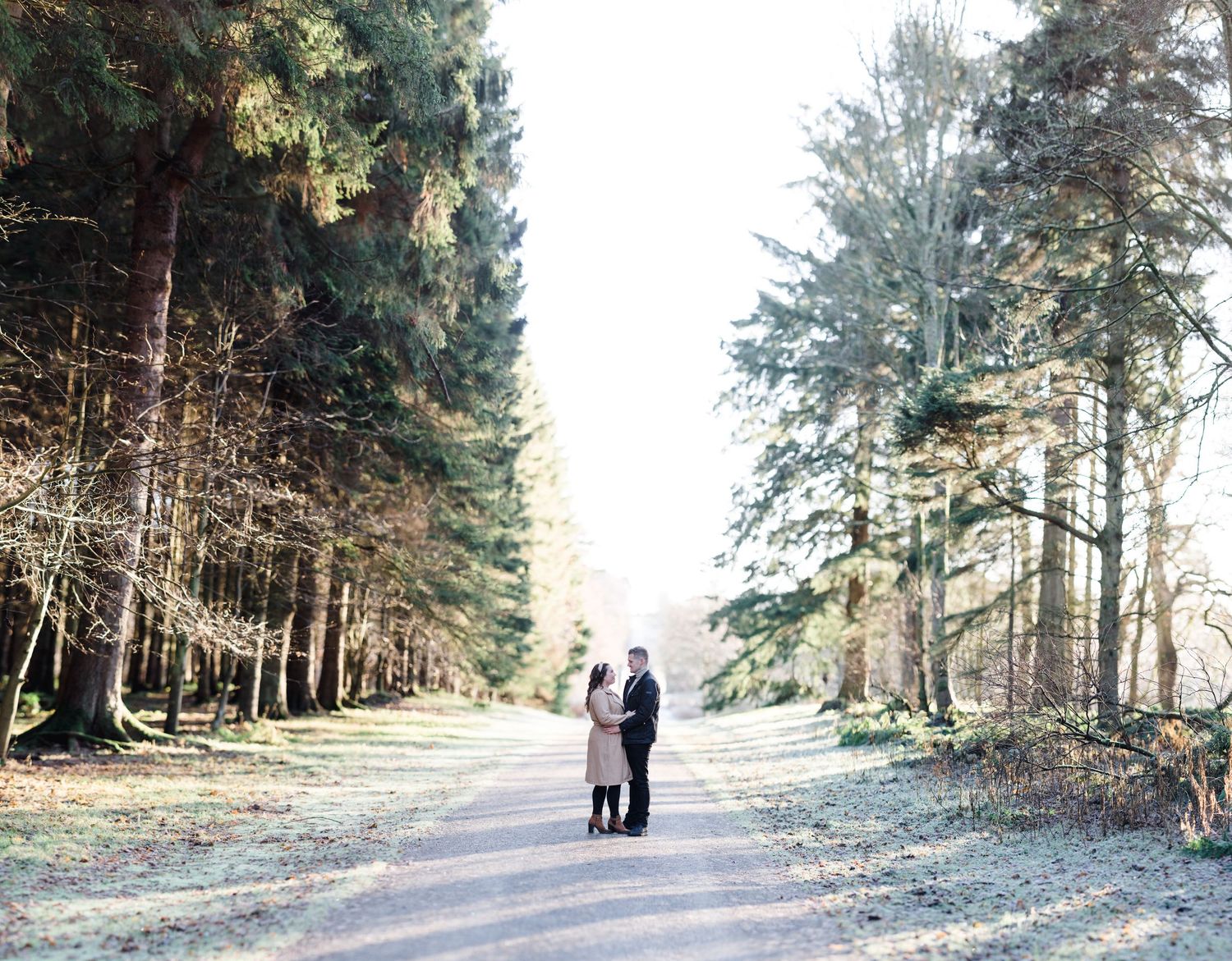A distant couple stands on a tree-lined path during their winter engagement session.