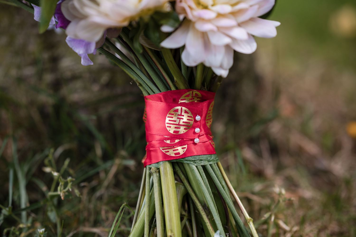 Close-up of pink roses with stems wrapped in red ribbon.