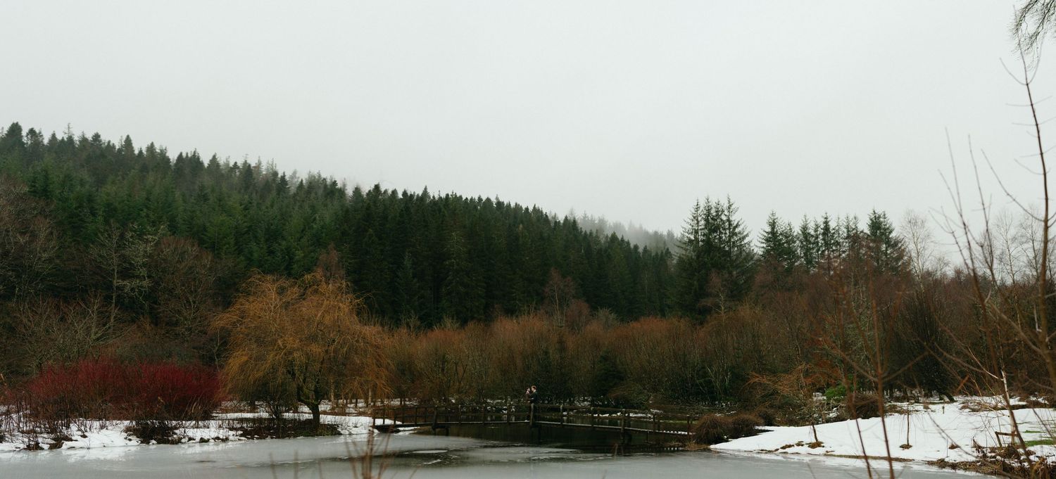 Drumtochty Castle  Wedding Photography. Panoramic view of snow-covered forest landscape with evergreen trees.