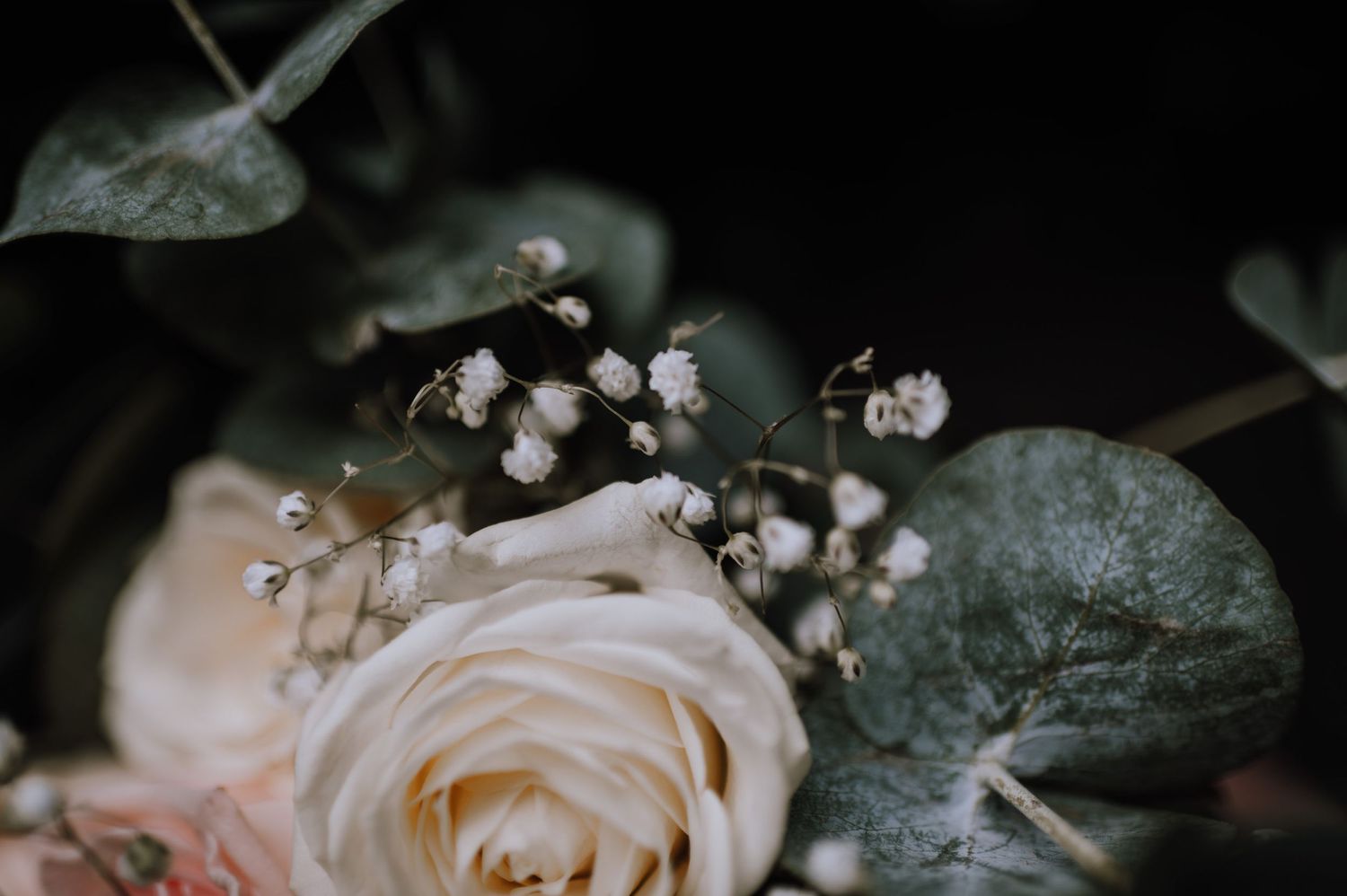 A soft cream rose and baby's breath bouquet with dark leaves creating an elegant floral arrangement.