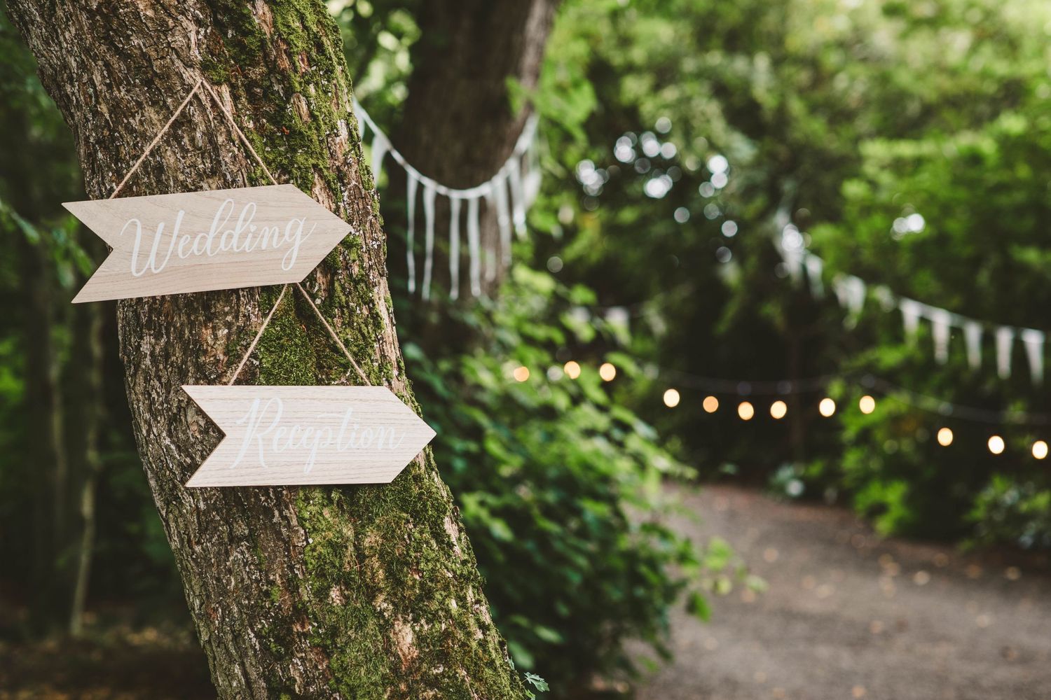 Decorative directional signs and string lights hang in a wooded outdoor wedding venue.