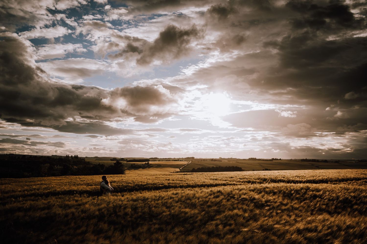 Dramatic landscape photo of a wheat field under stormy skies during golden hour.