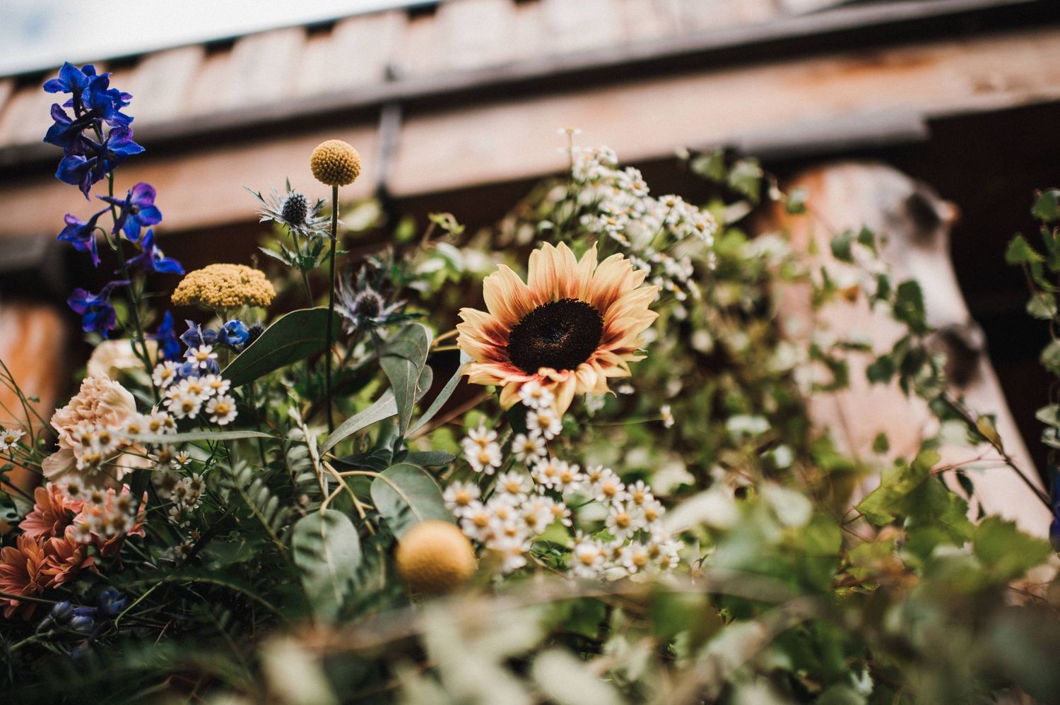 Garden arrangement featuring sunflowers and blue delphiniums against a building.
