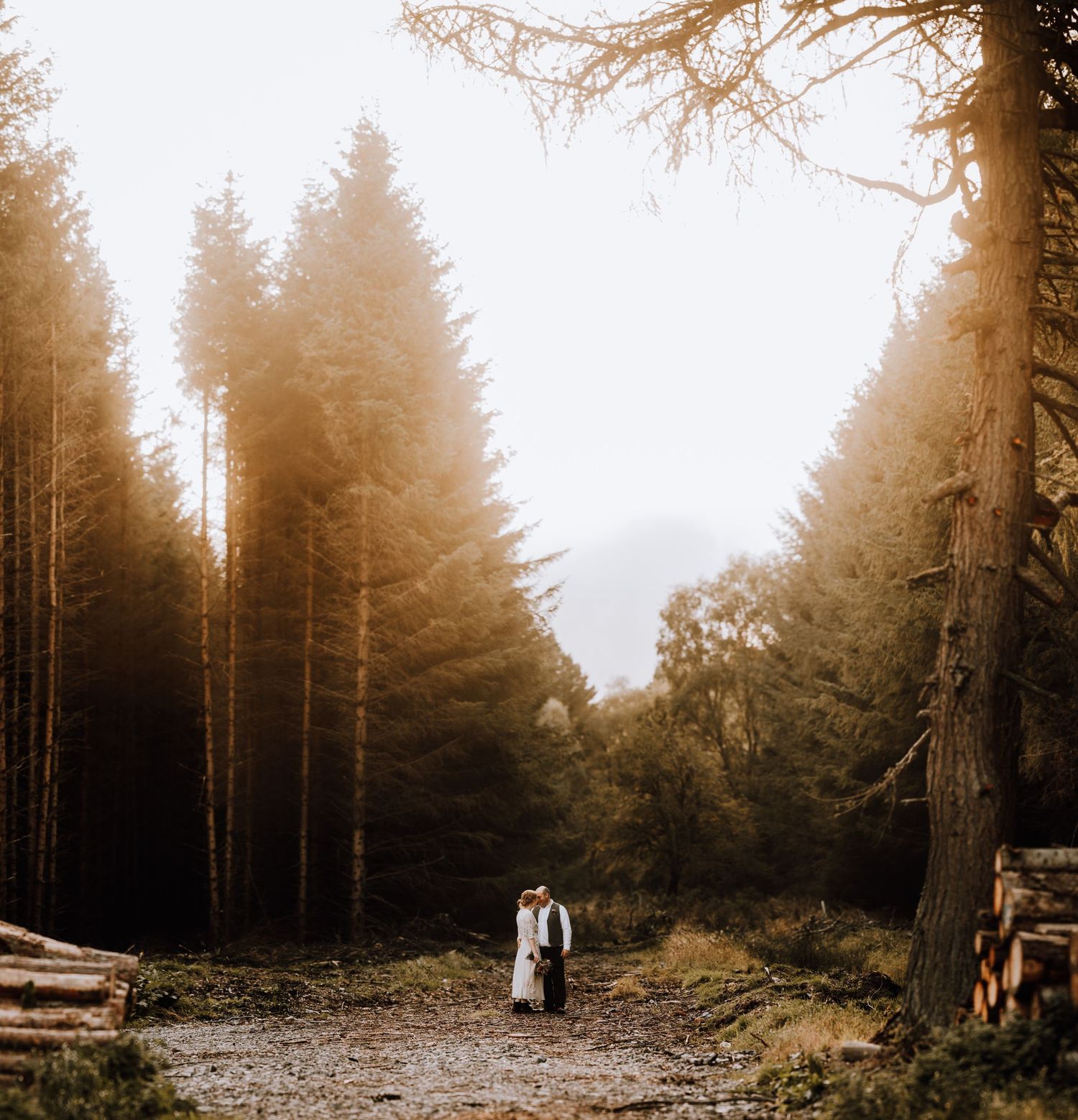 Moody forest wedding photo with distant couple surrounded by towering pine trees.