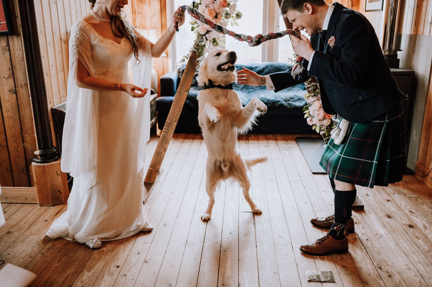 Dog jumps playfully between bride and groom during wedding photos on wooden floor.