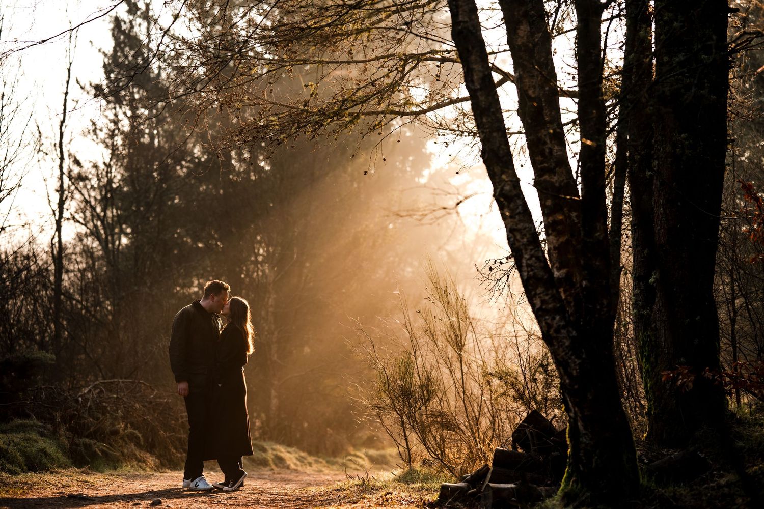 Engagement photography session Aberdeen. Silhouettes of figures walking through a sunlit forest path.