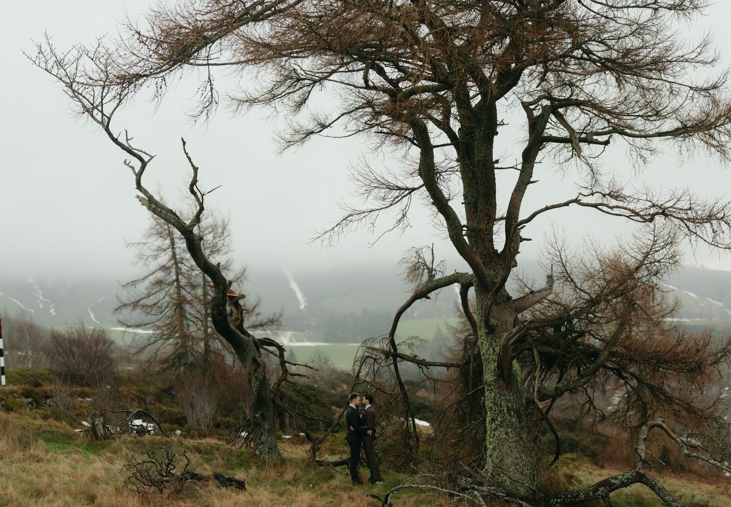 Drumtochty Castle  Wedding Photography. Twisted bare tree branches against a misty mountain landscape in winter.