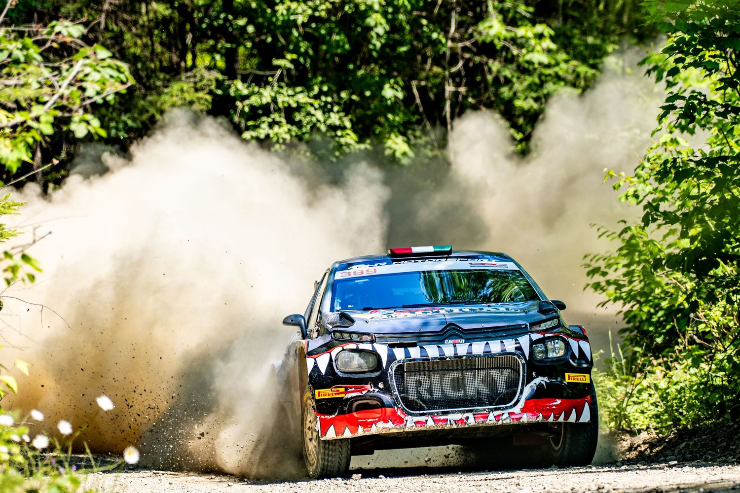 Racing cars speed through a wooded rally course creating dramatic dust clouds.