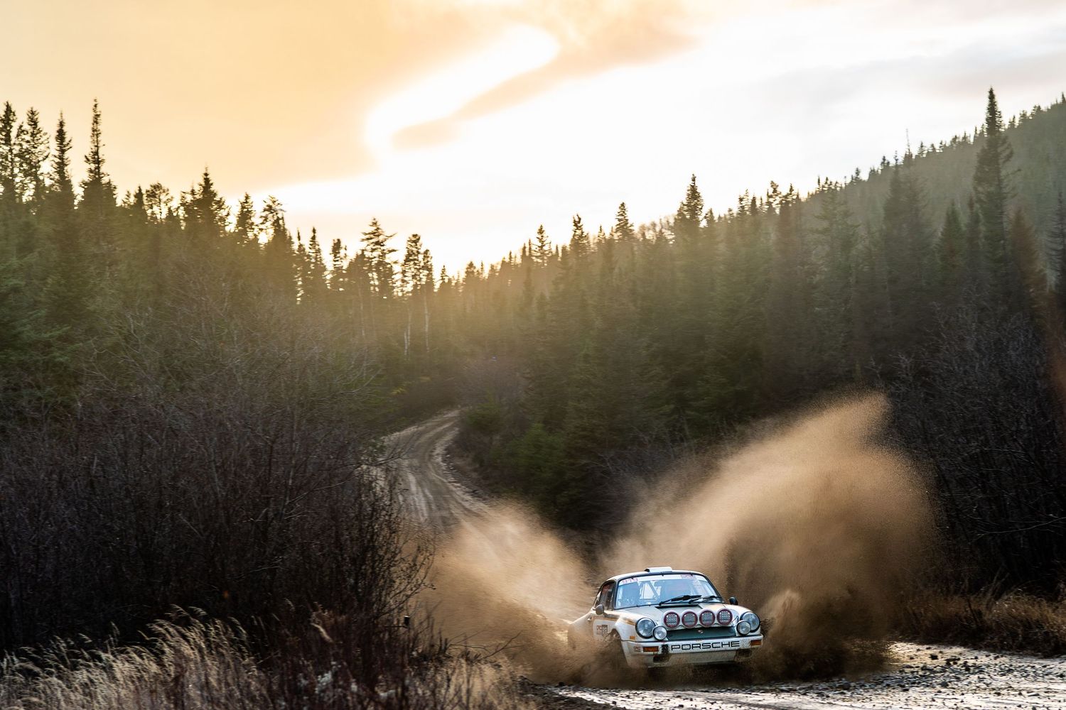 Rally car kicks up dust on forest track during golden sunset racing action.