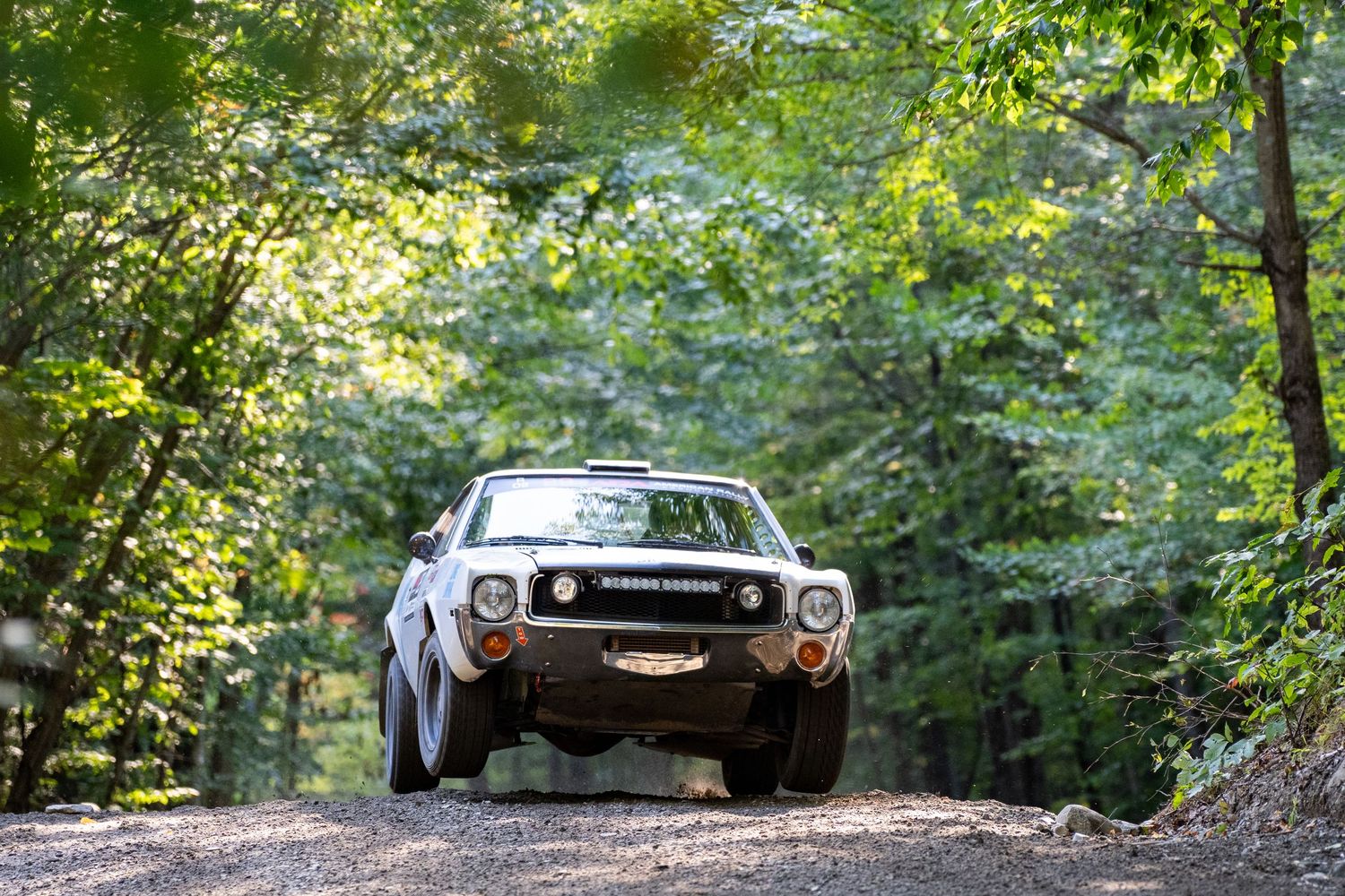 Rally car racing through a scenic wooded forest path with green foliage.