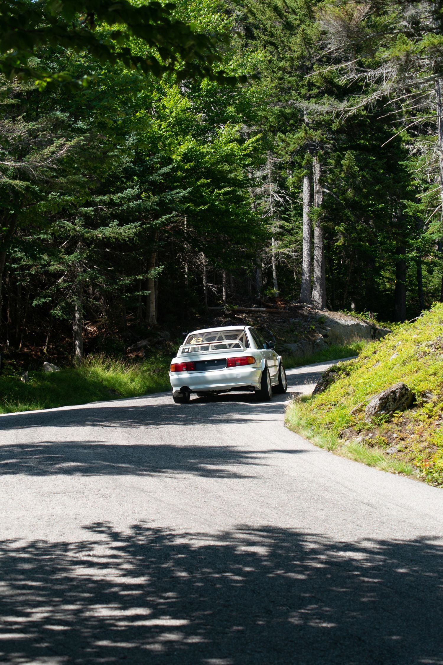 White sports car navigating a curved forest road on a sunny day.