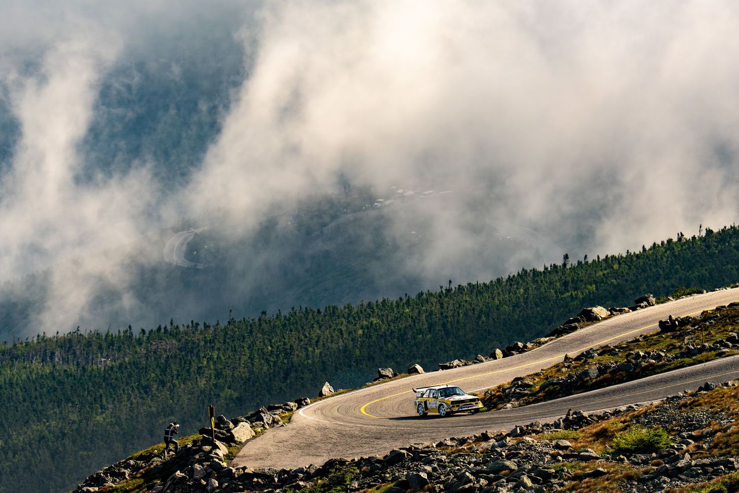 A white rally car navigates a winding mountain road above the clouds surrounded by pine trees.