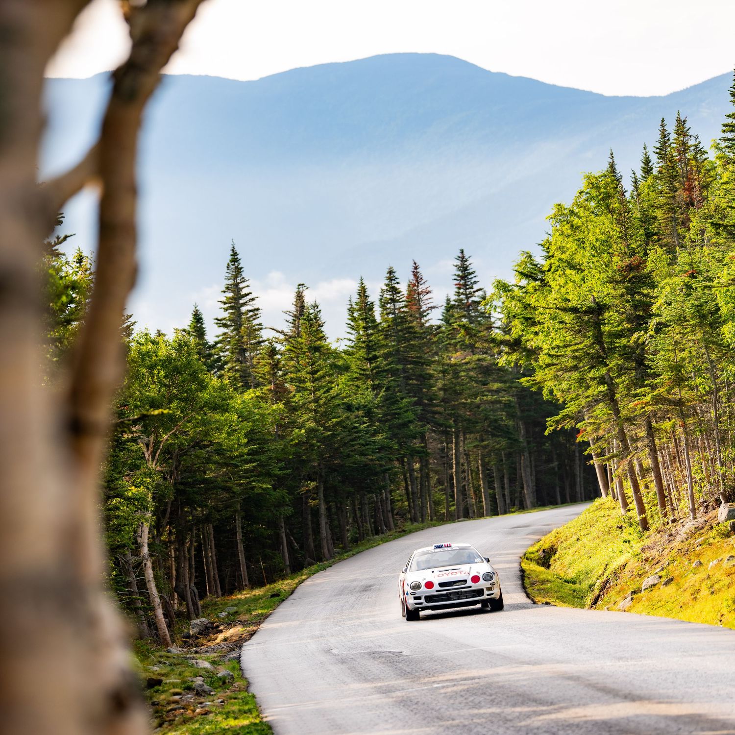 A rally car races along a winding mountain road surrounded by lush green pine trees and misty blue peaks.