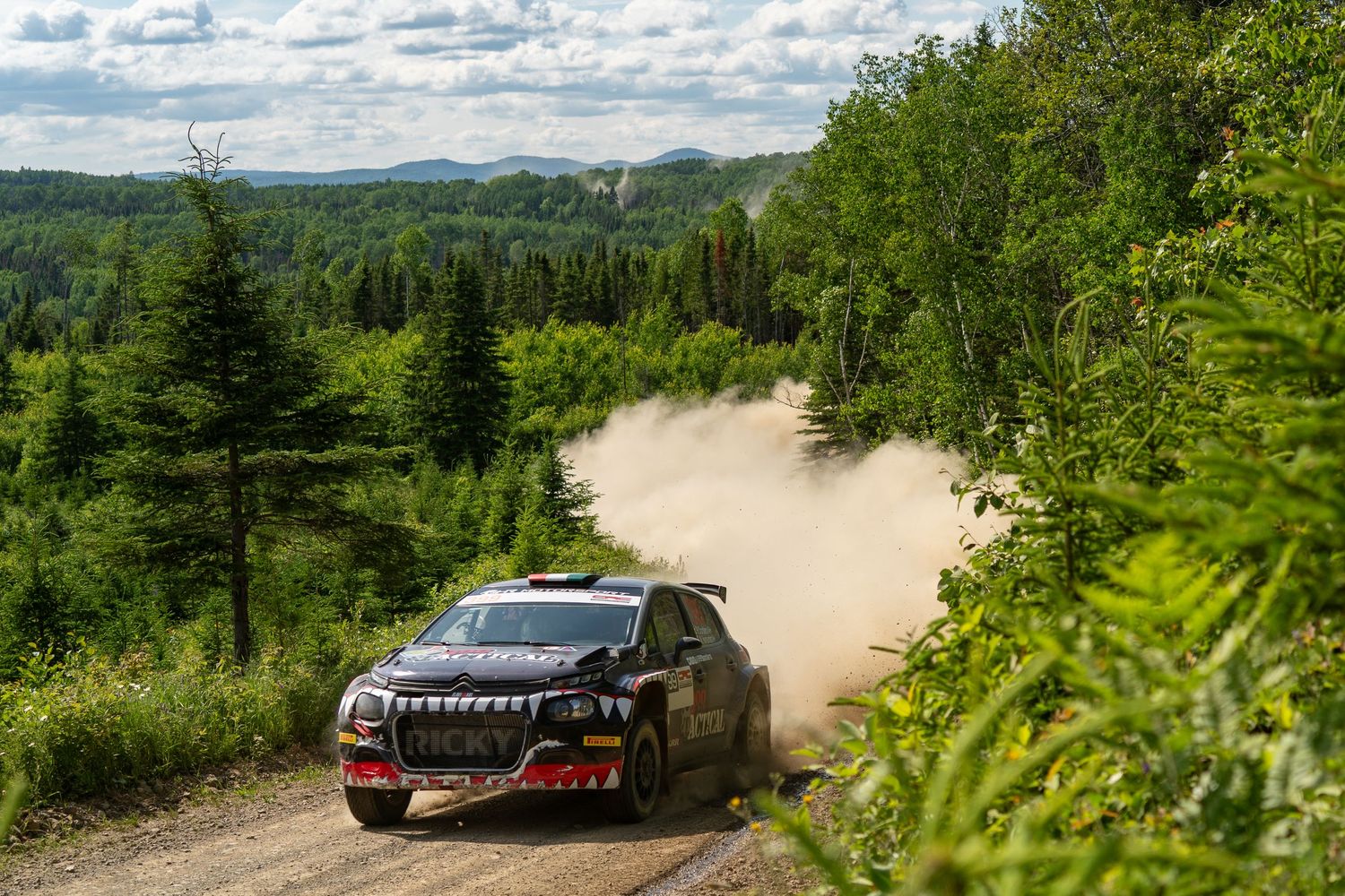 Rally cars navigate winding forest roads against a backdrop of mountains and blue skies.