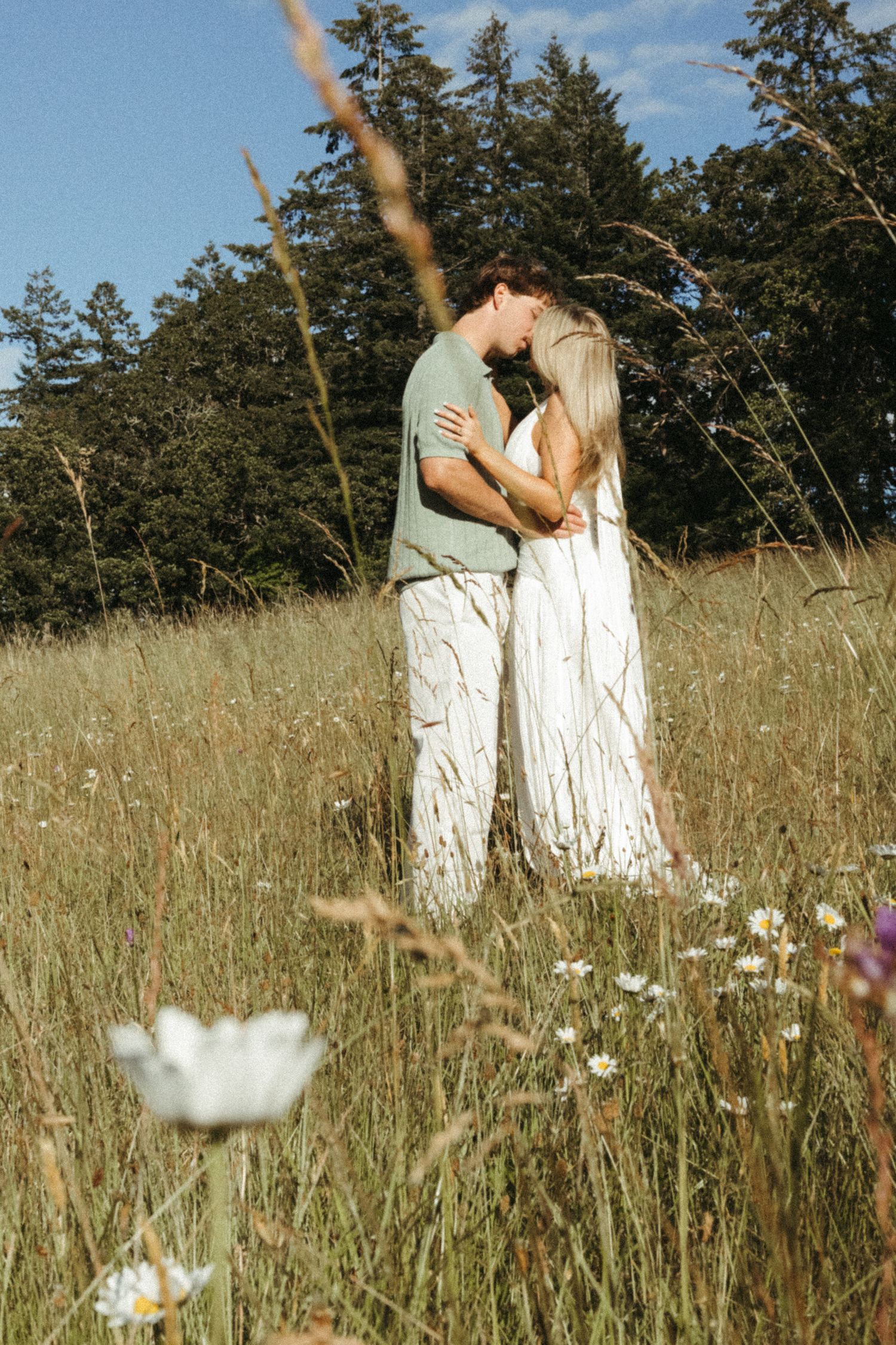 Willamette valley meadow engagements with Andi Portland wedding photographer
