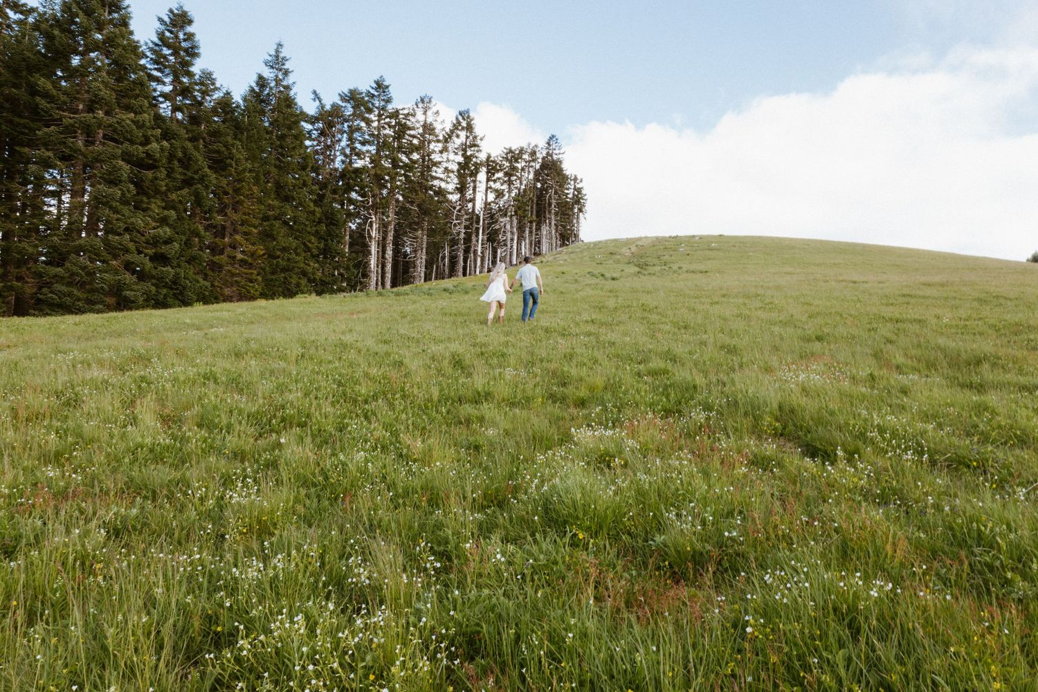 Portland Oregon couples session in Mary's Peak, Corvallis. Candid couple in green field.
