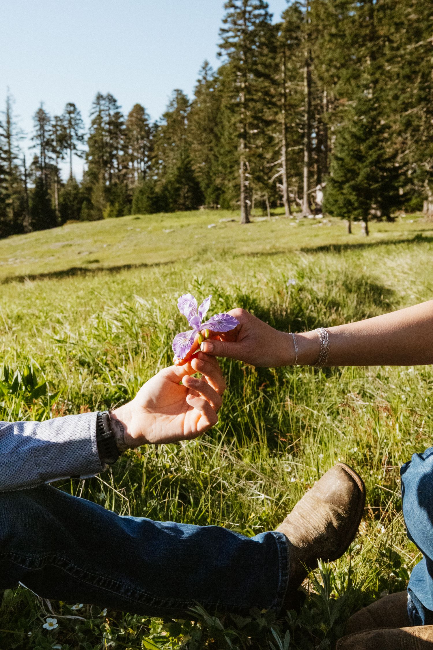 Portland wedding photographer couple handing girlfriend wildflowers he picked.
