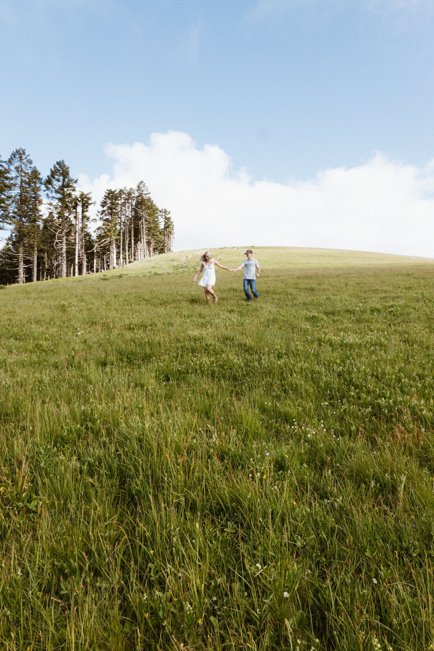 Oregon Wedding photographer couples session in Corvallis during golden hour