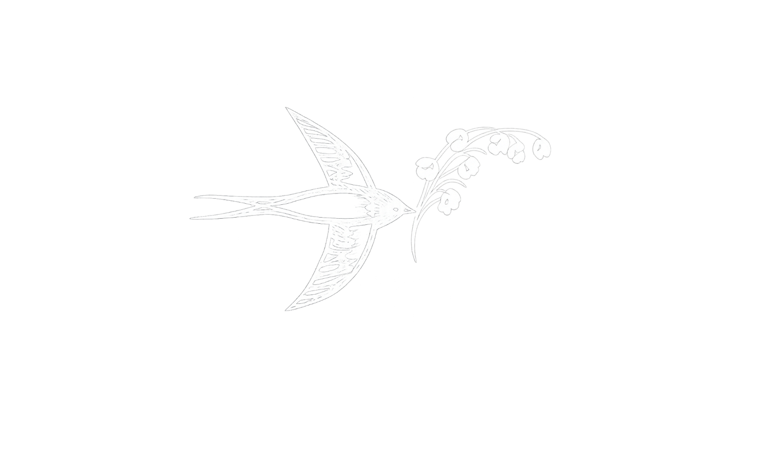 Andi Rane Photo new reworked logo Oregon Coast documentary photographer.