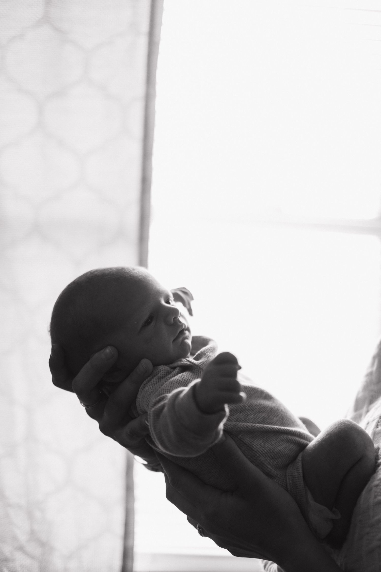 Black and white image of a tiny infant being held up against bright window light.