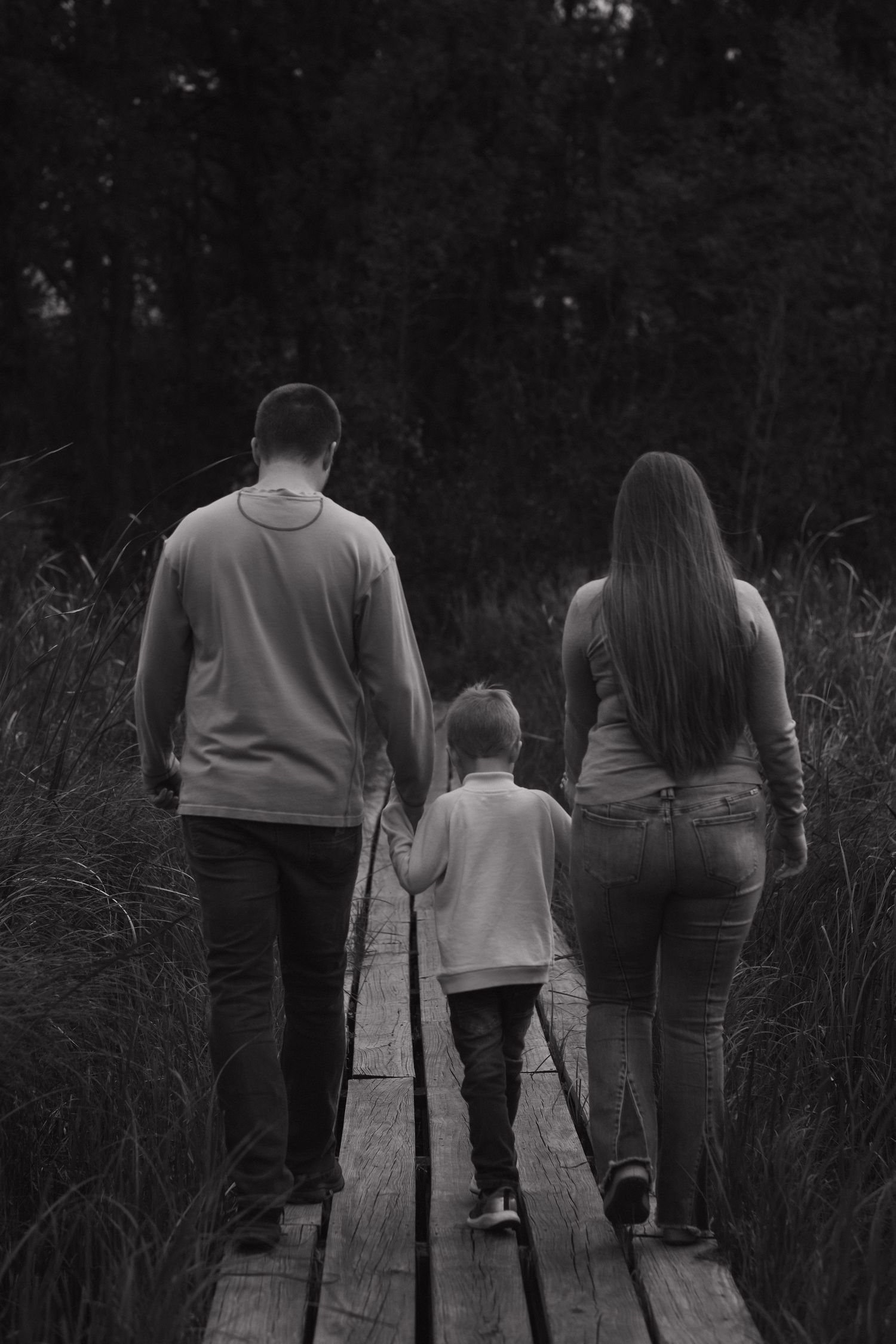 A silhouetted family walks together through tall grass at dusk.