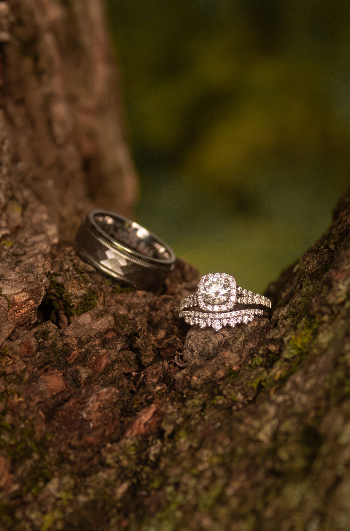 Wedding rings nestled in tree bark texture creating a natural, rustic detail shot.