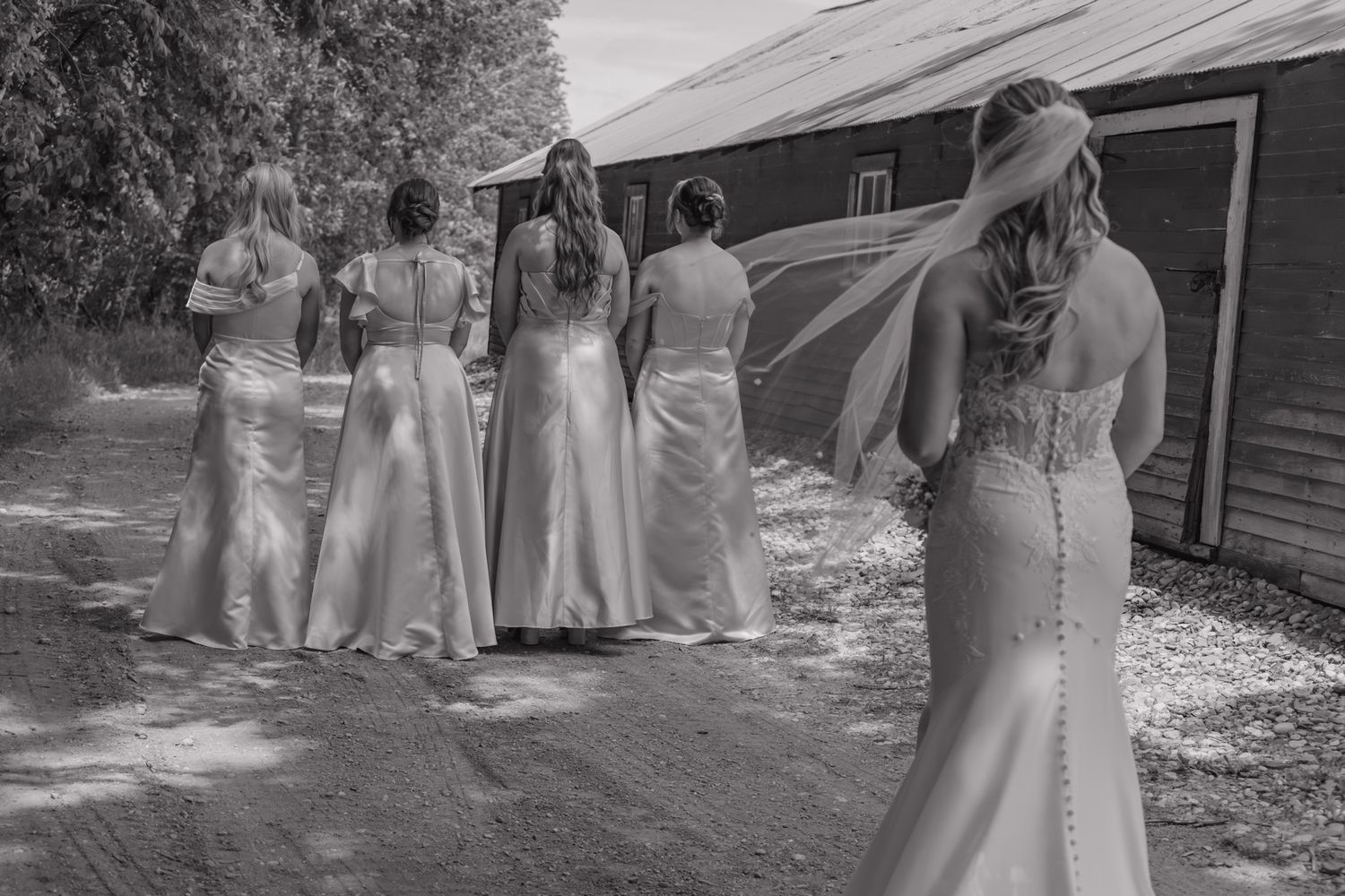 Black and white photo of a bride and bridesmaids in elegant gowns walking toward a rustic red barn.