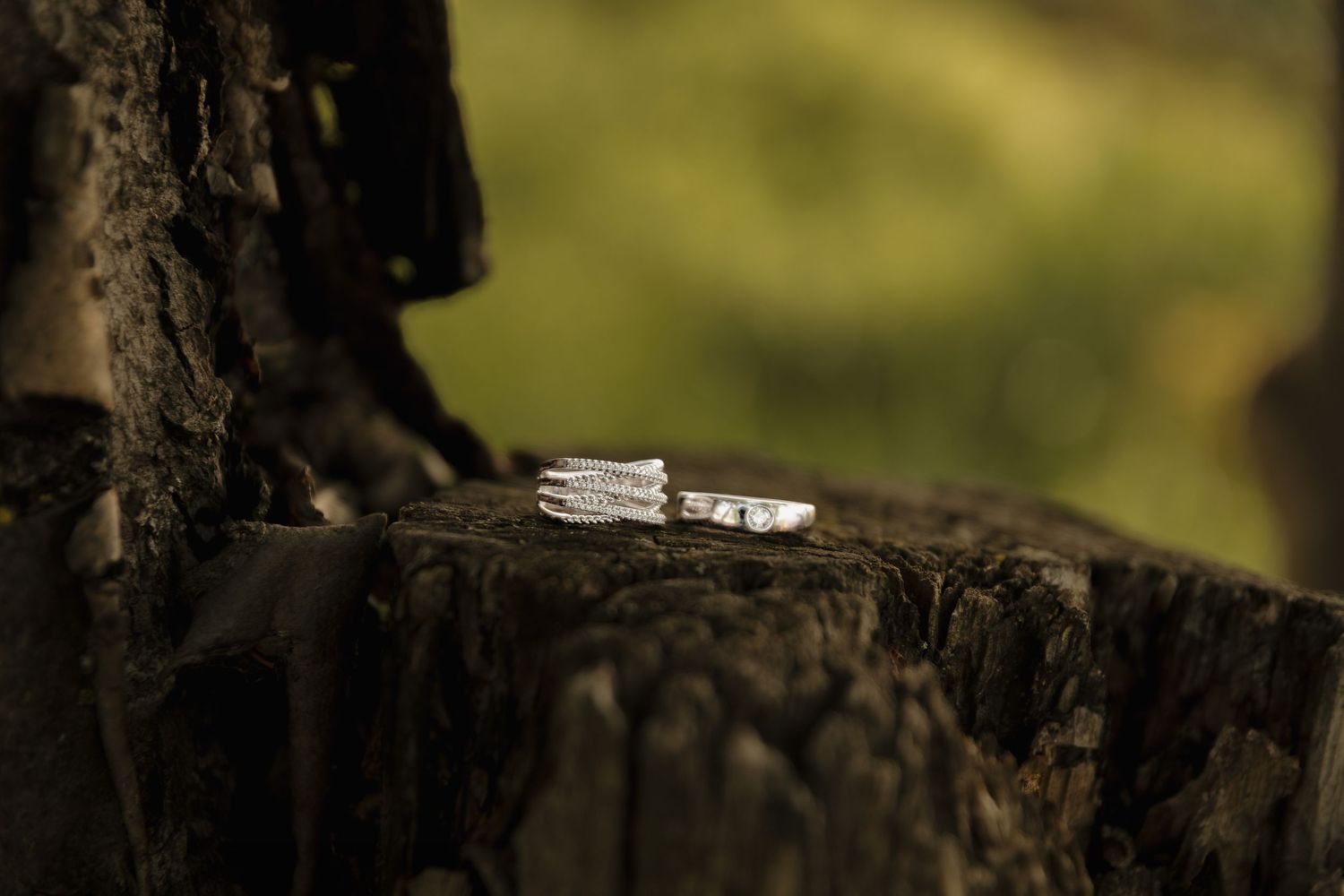 Two silver wedding rings with diamond accents resting on dark rustic wood with a blurred green background.