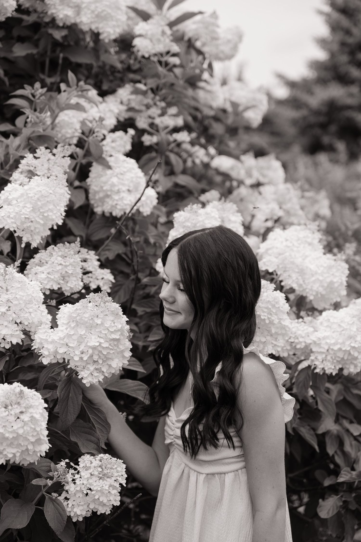 Black and white photo of a young woman smiling among blooming white hydrangea bushes in a garden.