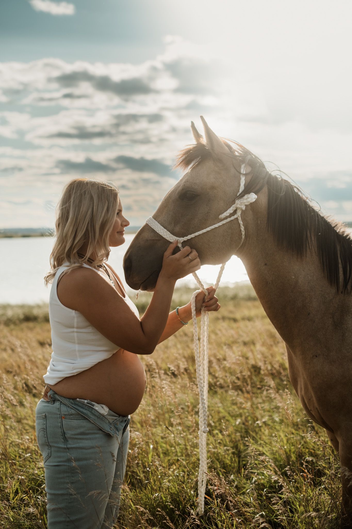 A brown horse and person share a tender moment in a sunlit field of tall grass.