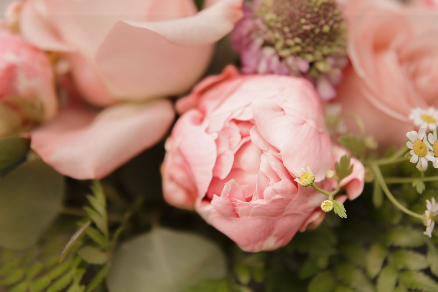Close-up of soft pink peonies and roses in a lush floral arrangement with green ferns and delicate white blooms.