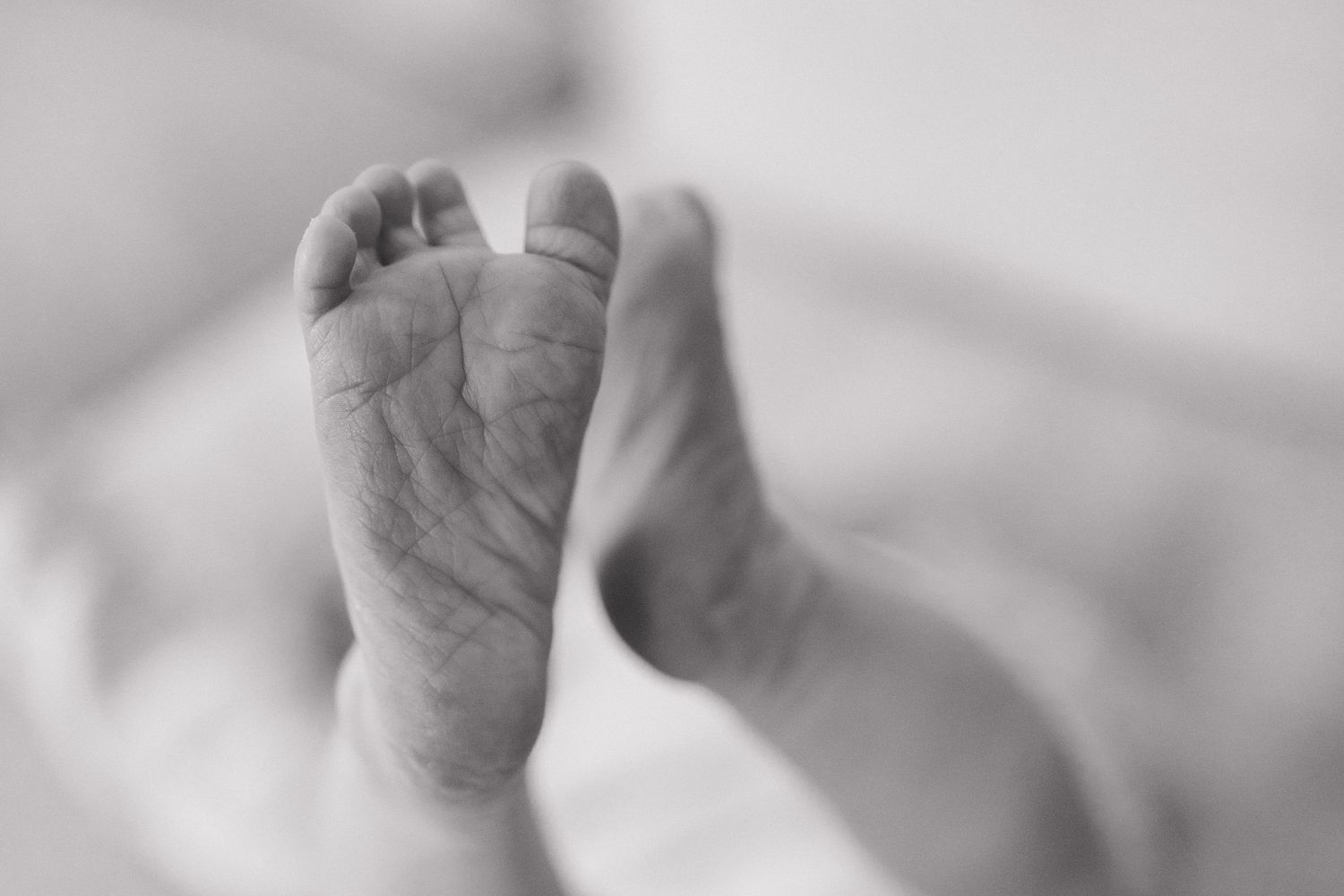 Close-up black and white photo of tiny newborn baby feet, soft focus background.