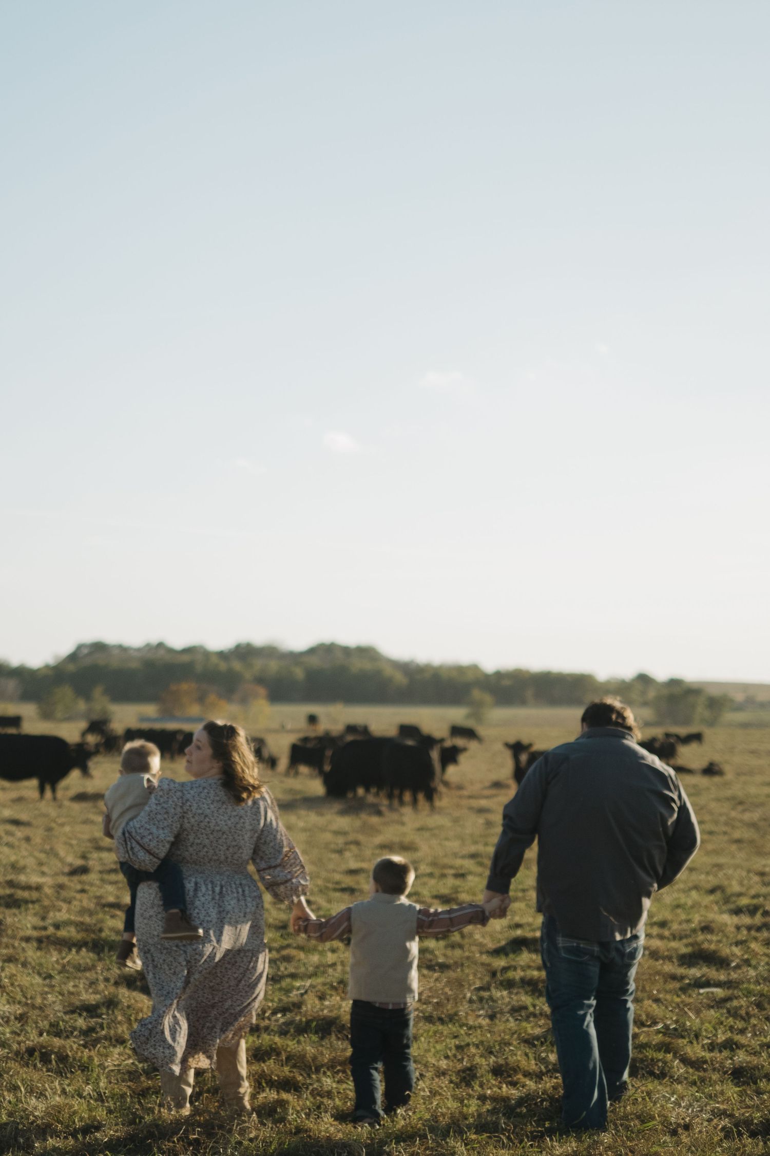 Silhouettes of people walking in a field with grazing cattle against a sunset sky.