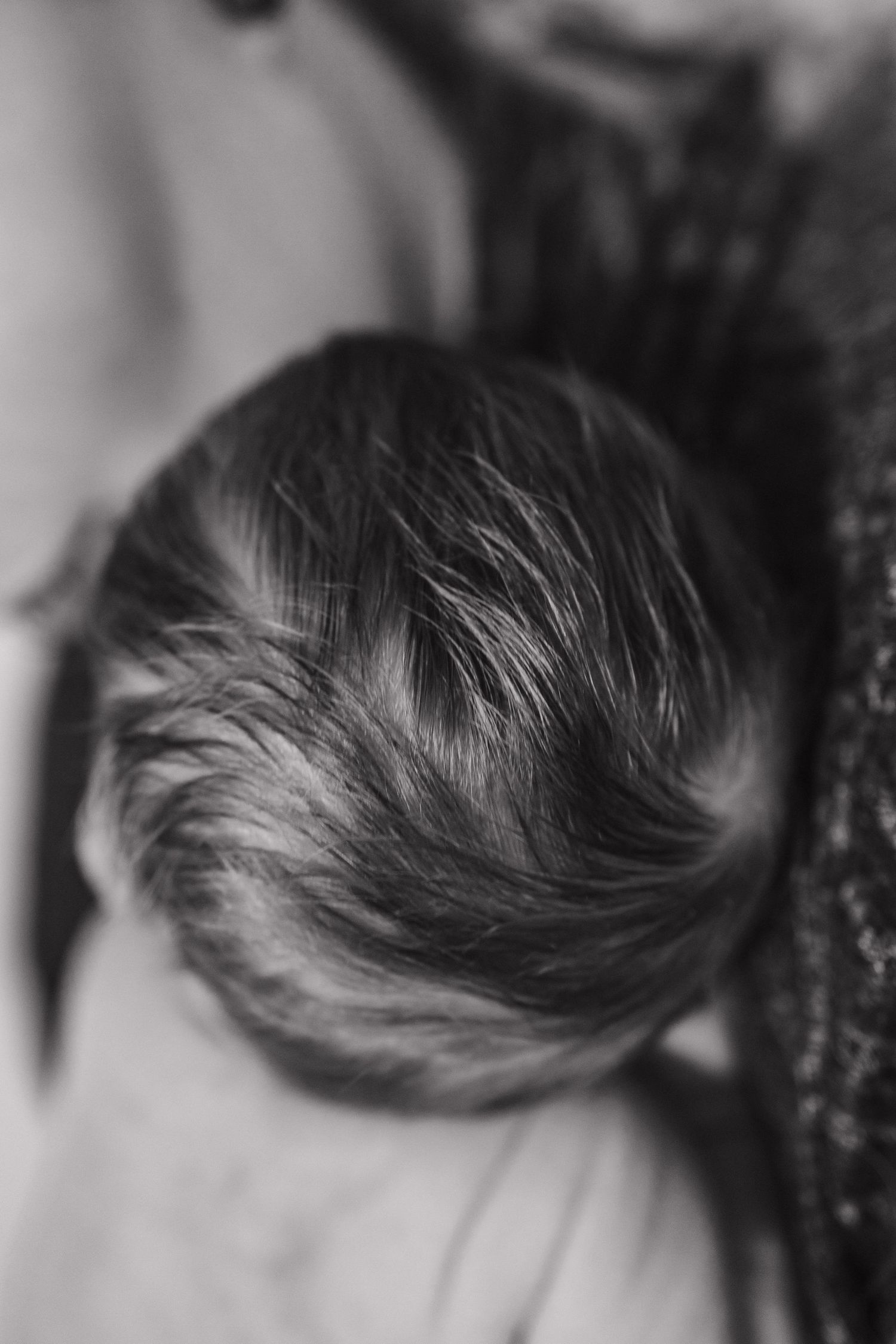 Close-up black and white detail of wavy dark hair against a blurred background.