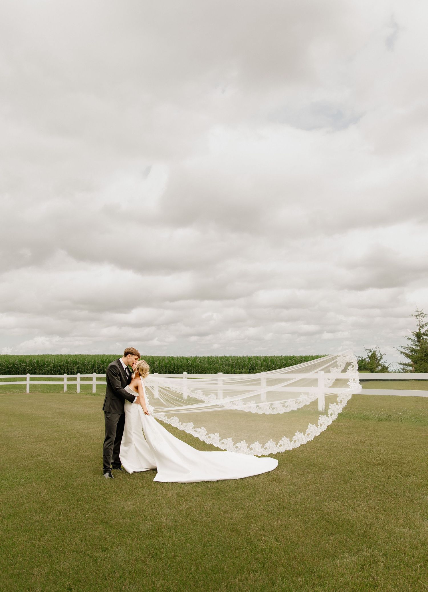 Bride and groom share romantic moment on green lawn, cathedral veil flowing in wind with white fence and cornfield backdrop.