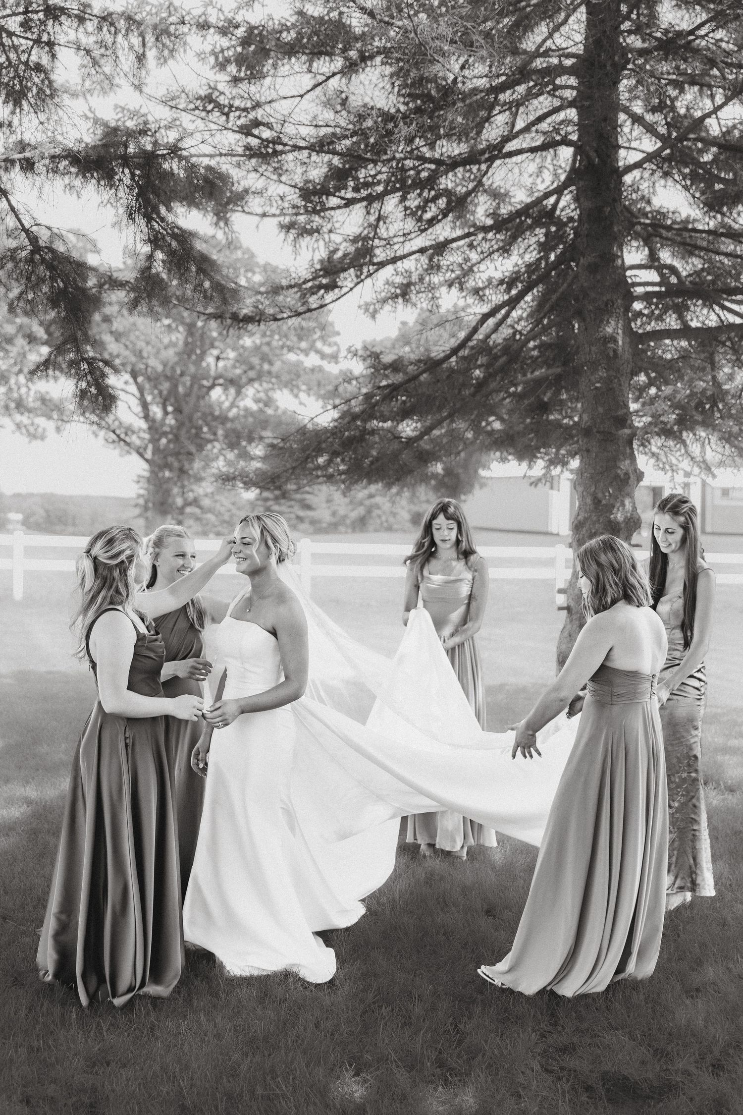 Black and white photo of bridesmaids helping arrange bride's wedding gown train on grass beneath a pine tree.