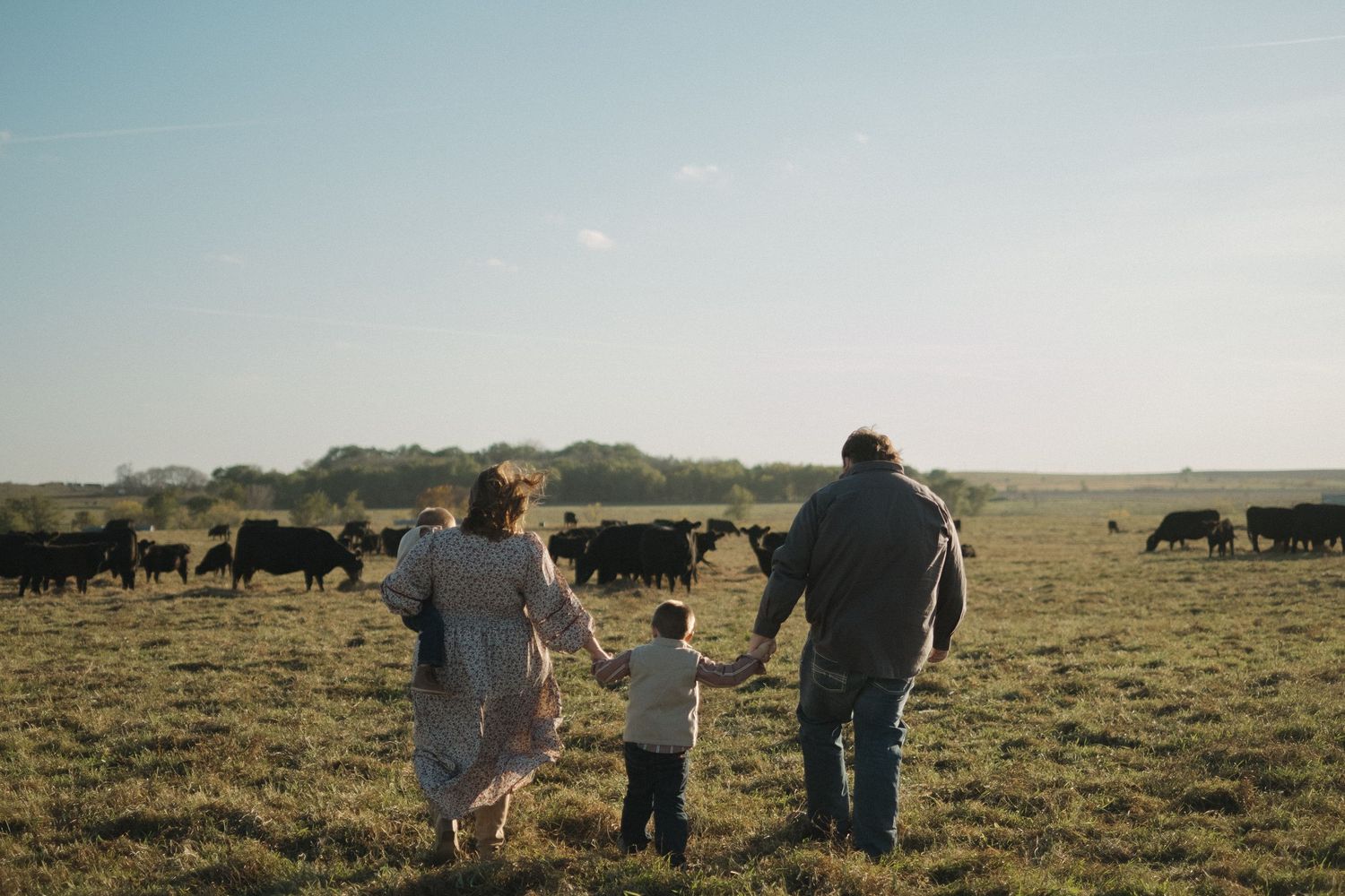 People walking together across a vast field with cattle grazing in the distance.